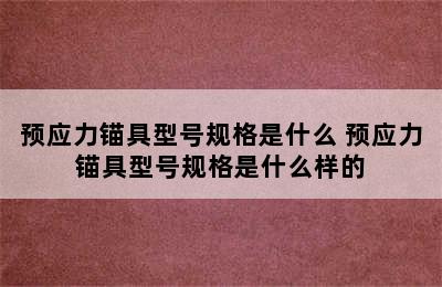 预应力锚具型号规格是什么 预应力锚具型号规格是什么样的